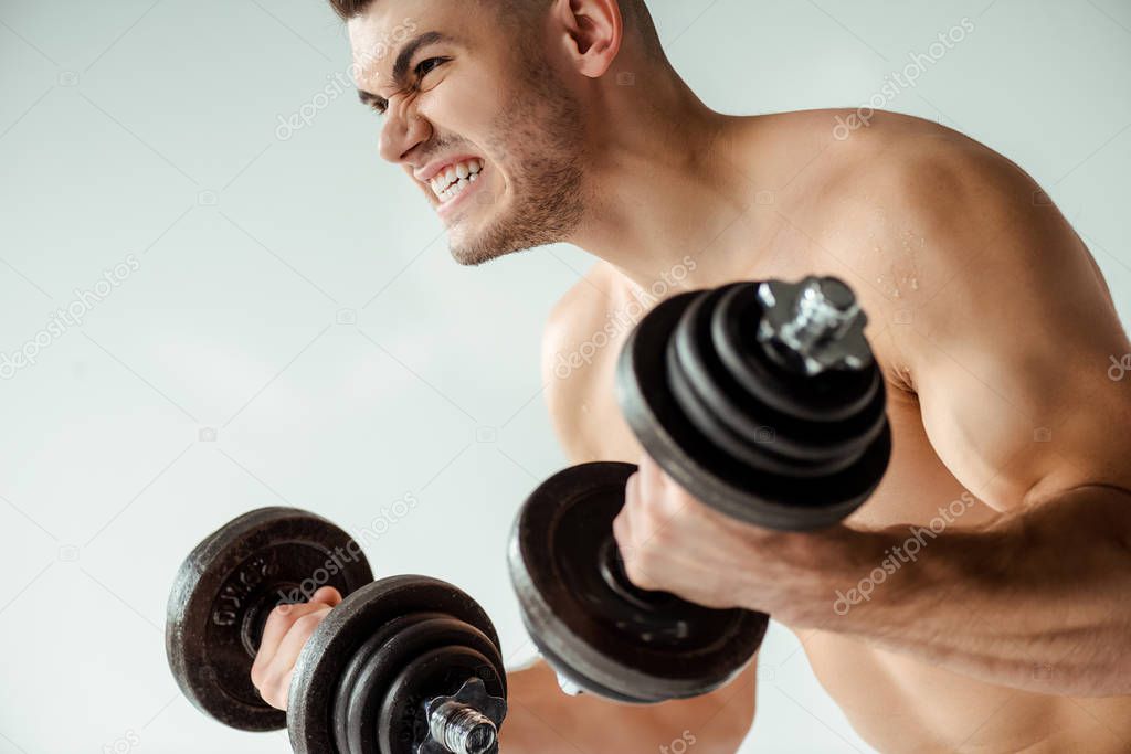 tense muscular bodybuilder with bare torso working out with dumbbells isolated on grey