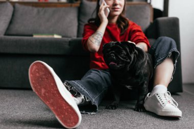 Protez bacaklı bir kızın evde pug pug ile akıllı telefondan konuşması, seçici bir odak noktası.