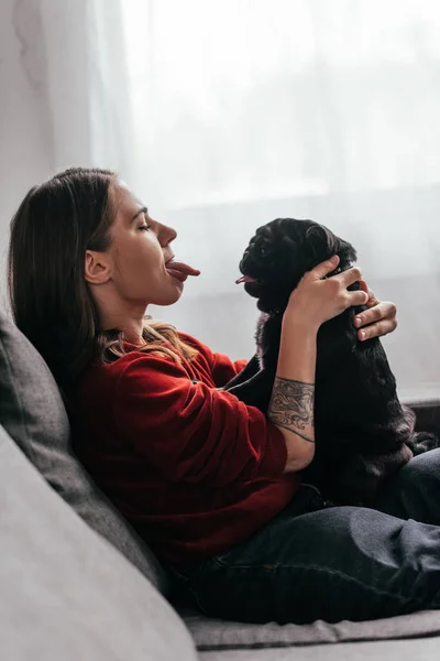 Vista Lateral Jovem Mulher Saindo Língua Para Cachorro Sofá — Fotografia de Stock