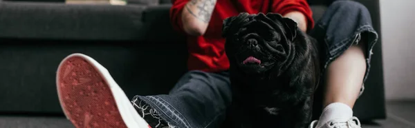 Beskåret Udsigt Pug Hund Sidder Ved Siden Kvinde Med Protese - Stock-foto