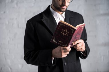 Tanakh okuyan genç Yahudi 'nin kırpık manzarası 