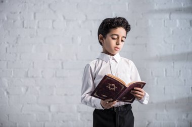 Beyaz gömlekli tatlı Yahudi çocuk tanakh okuyor. 