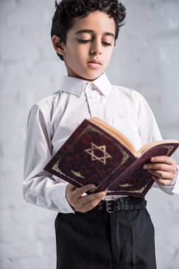 Beyaz gömlekli tatlı Yahudi çocuk tanakh okuyor. 