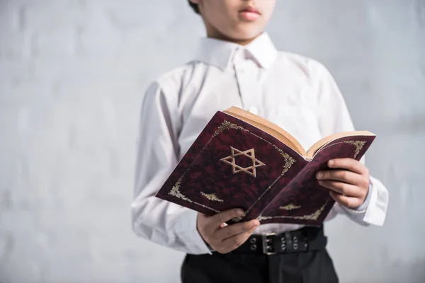 Vista Ritagliata Ragazzo Ebreo Camicia Lettura Tanakh — Foto Stock