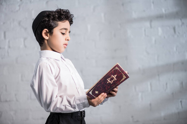 side view of cute Jewish boy in shirt reading tanakh
 