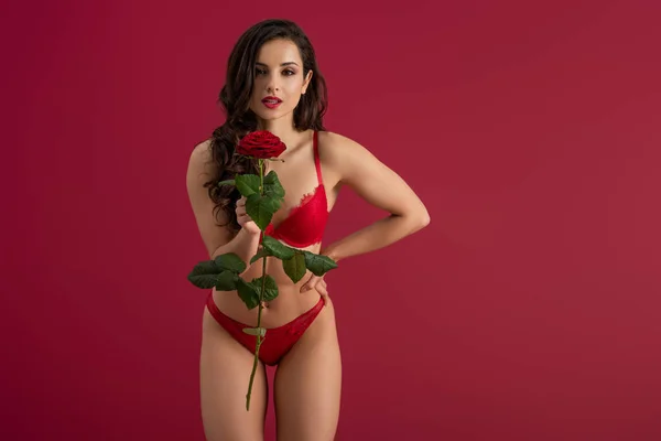 Сексуальная Девушка Нижнем Белье Показывает Красную Розу Камеру Стоя Изолированы — стоковое фото