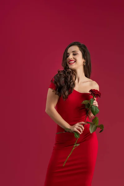 Sexy, happy girl holding red rose while smiling with closed eyes isolated on red — Stock Image Sexy Happy Girl Holding Red Rose While Smiling Closed Eyes Stock Image