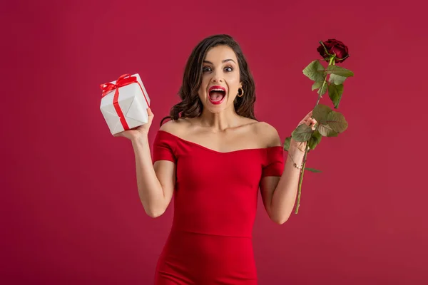 Excited, elegant girl holding rose and gift box while looking at camera isolated on red — Stock Image Excited Elegant Girl Holding Rose Gift Box While Looking Camera Stock Picture