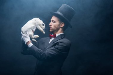 Profesyonel sihirbaz takım elbiseli ve şapkalı, beyaz tavşana bakan, dumanlı karanlık oda