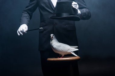 cropped view of magician showing trick with dove, wand and hat in dark room with smoke  clipart