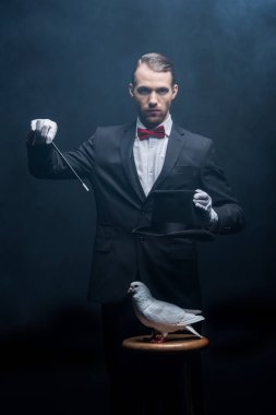 magician showing trick with dove, wand and hat in dark room with smoke  clipart