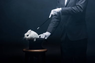 Sihirbazın sihirli değnek ve beyaz tavşanı şapkada, dumanlı karanlık odada gösterişi.