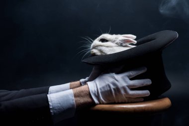 Eldivenli sihirbaz görüntüsü beyaz tavşanlı şapka, dumanlı karanlık oda