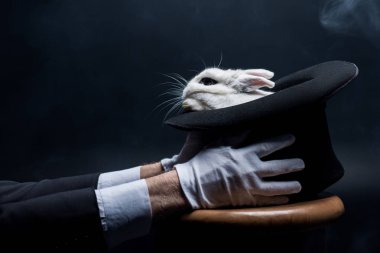 cropped view of magician in gloves holding hat with white rabbit, in dark room with smoke clipart