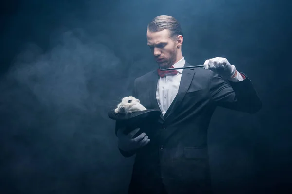 Serious Magician Suit Showing Trick Wand White Rabbit Hat Dark — Stock Photo, Image