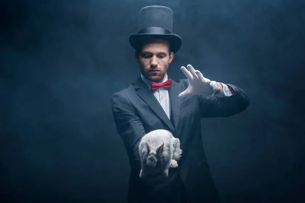 穿着西服头戴帽子的情绪魔术师与白兔表演把戏 黑漆漆的房间里充满了烟雾 — 图库照片