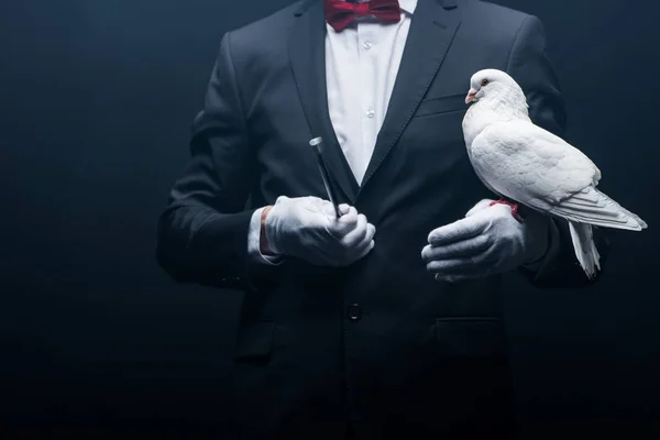 Cropped View Magician Holding Dove Wand Isolated Black — 스톡 사진