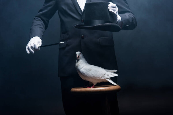 cropped view of magician showing trick with dove, wand and hat in dark room with smoke 