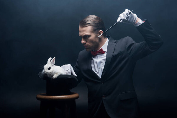 concentrated magician in suit showing trick with wand and white rabbit in hat, dark room with smoke