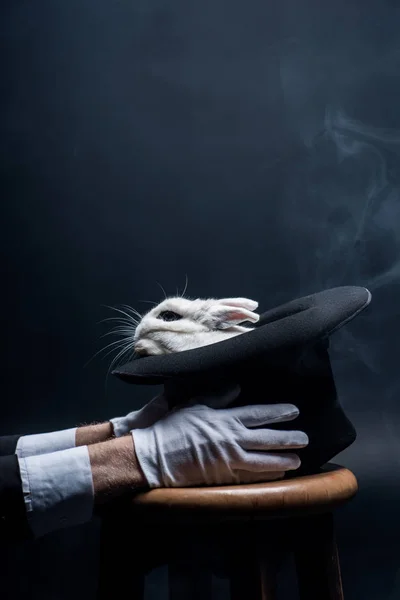 Partial View Magician White Gloves Holding Hat Rabbit Dark Room — Stock Photo, Image