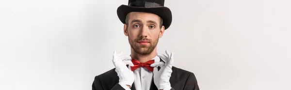 Panoramic Shot Confident Magician Adjusting Red Bow Tie Isolated Grey — Stock Photo, Image