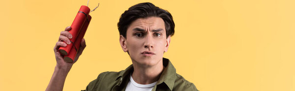 panoramic shot of young stressed man holding dynamite sticks, isolated on yellow