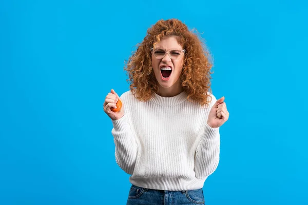 Aggressive Yelling Redhead Girl Eyeglasses Squeezing Stress Ball Isolated Blue — Stockfoto