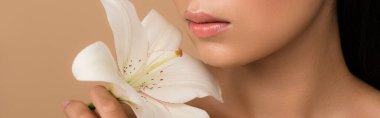 cropped view of beautiful asian girl holding white lily isolated on beige, panoramic shot clipart