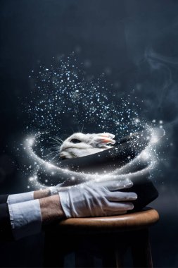 Beyaz eldivenli, şapkalı, tavşanlı, dumanlı ve parlak resimli sihirbazın kısmi görüntüsü