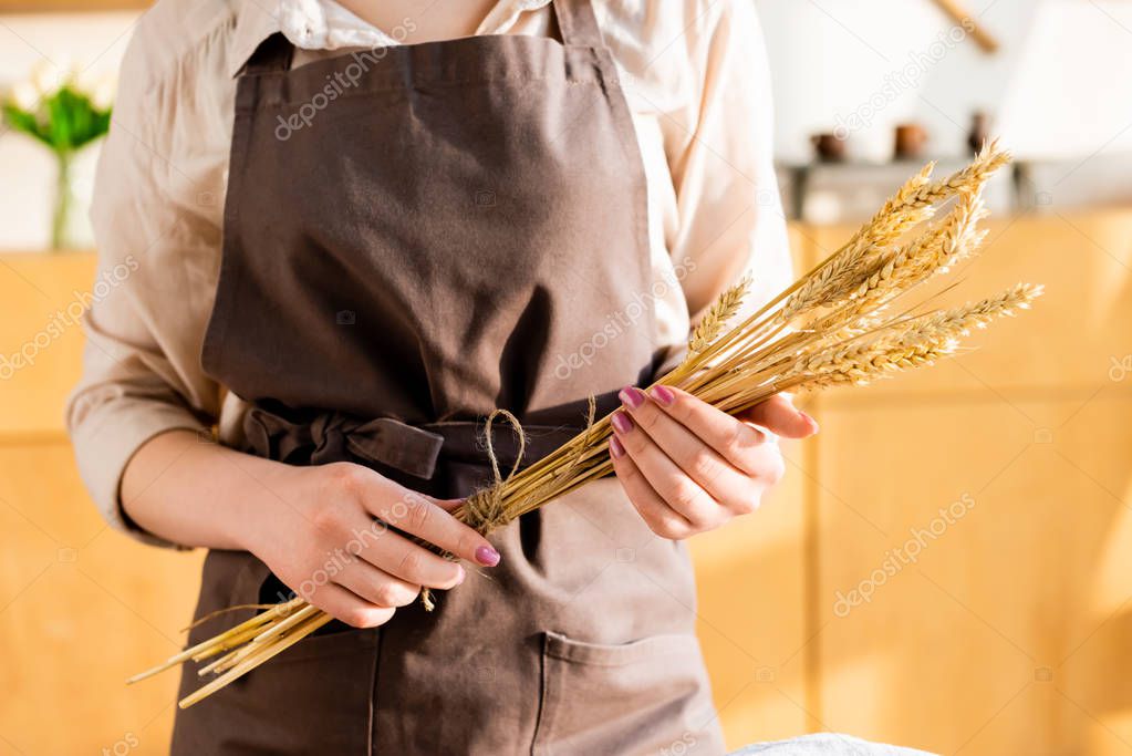 cropped view of woman in apron holding wheat in hands