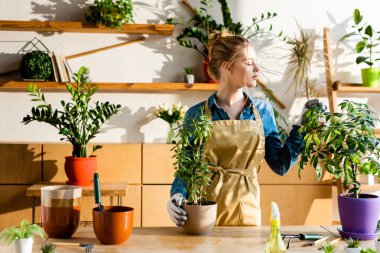 beautiful woman in apron looking at green plants  clipart