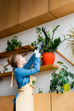 young beautiful woman in gloves looking at plants 