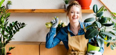 panoramic shot of happy young woman holding spray bottle and green plant 