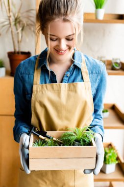 happy woman in gloves holding wooden box with green plants 