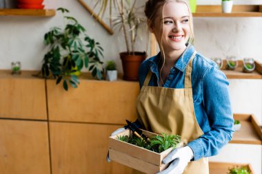 young happy woman in gloves holding wooden box with green plants and gardening tools 