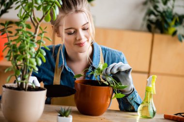 selective focus of cheerful woman in gloves holding small shovel while transplanting plant in flowerpot 