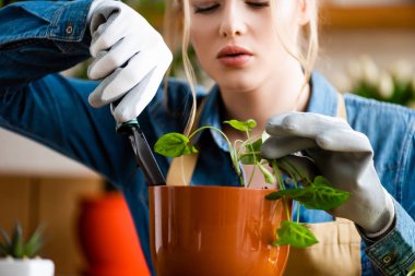 selective focus of young woman in gloves holding small shovel while transplanting plant in flowerpot 