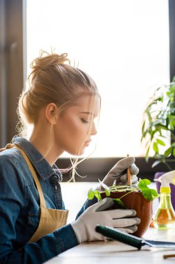 side view of girl in gloves transplanting plant in flowerpot 
