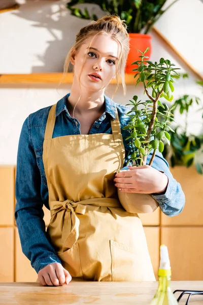 Hermosa Mujer Sosteniendo Maceta Con Planta — Foto de Stock