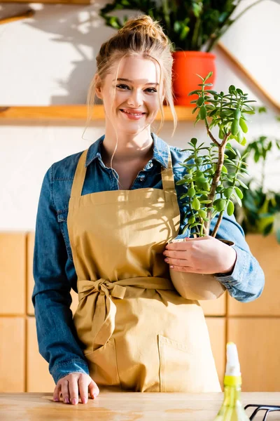 Glad Ung Kvinna Som Håller Blomkruka Med Växt — Stockfoto