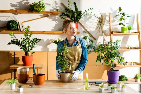 happy girl in apron and gloves standing near green plants