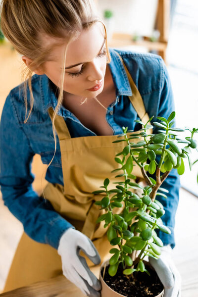 beautiful woman in gloves and apron looking at green leaves 