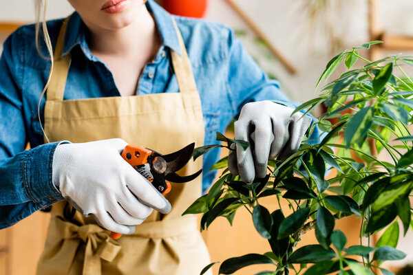 cropped view of woman in gloves holding gardening scissors near green leaves 