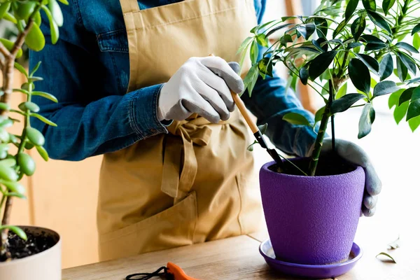 Vista Recortada Mujer Joven Guantes Con Rastrillo Cerca Planta Maceta — Foto de Stock