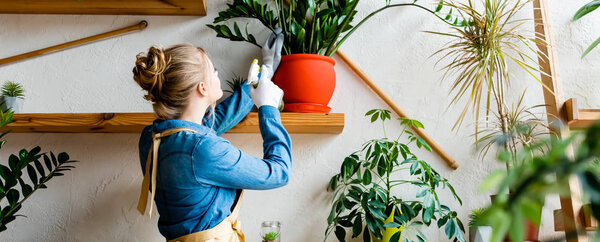 panoramic shot of beautiful woman looking at plants 