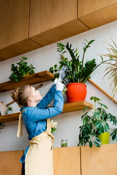 Jovem Mulher Bonita Luvas Olhando Para Plantas — Fotografia de Stock