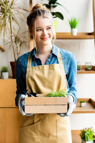 Cheerful Woman Gloves Holding Wooden Box Green Plants — ストック写真