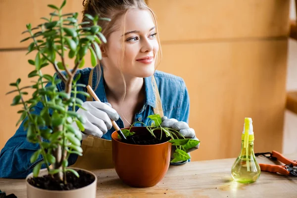 Selective Focus Happy Woman Gloves Holding Small Shovel While Transplanting — Stok fotoğraf