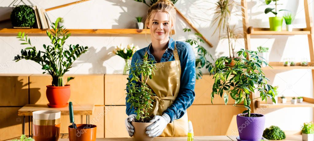 panoramic shot of happy girl in apron and gloves smiling near green plants 