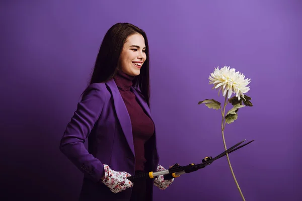 Alegre Chica Guantes Textiles Corte Crisantemo Con Tijeras Jardinería Sobre —  Fotos de Stock